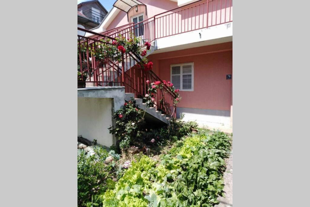 Apartman Danica Herceg Novi Ngoại thất bức ảnh